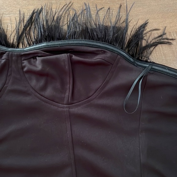 Eva Franco Strapless Tulle Corset Top Feathers Black NWT - Picture 10 of 16